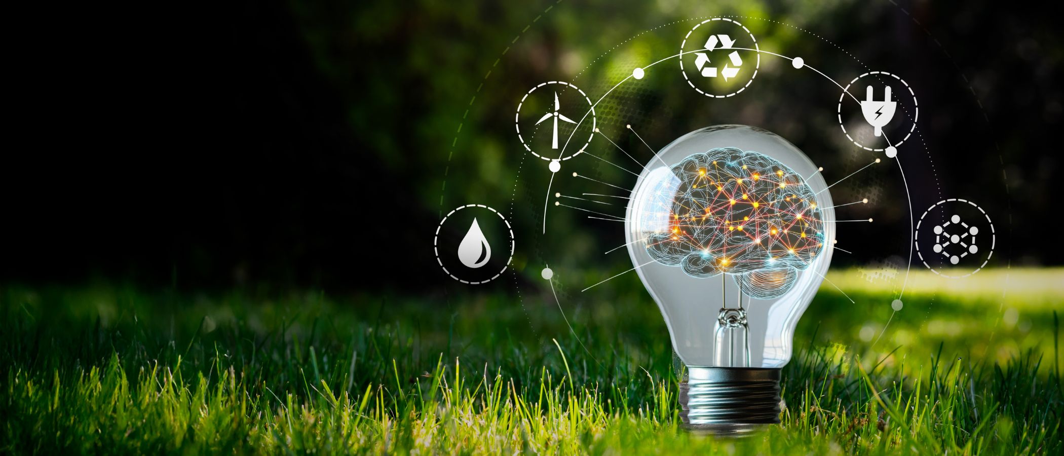 Environmental Neuroscience