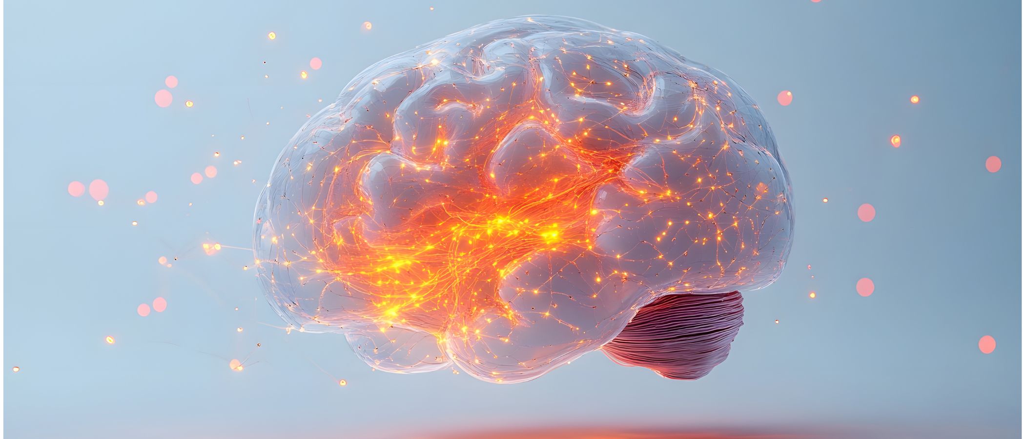 Foundations of Neurobiology: From Basics to the Bench